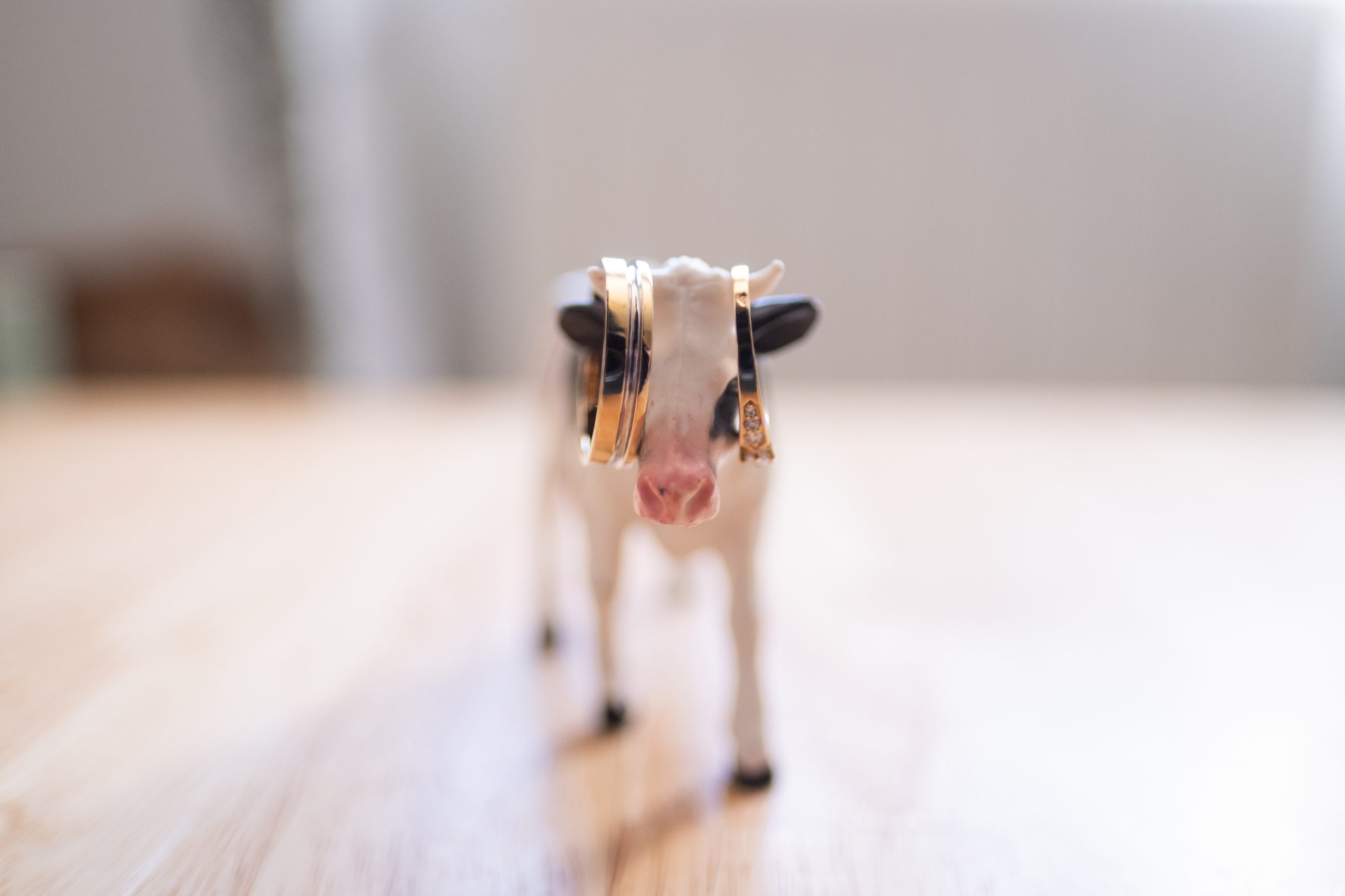 Alliances posées sur une petite vache en jouet trouvée dans la maison, photo de détail des préparatifs de mariage