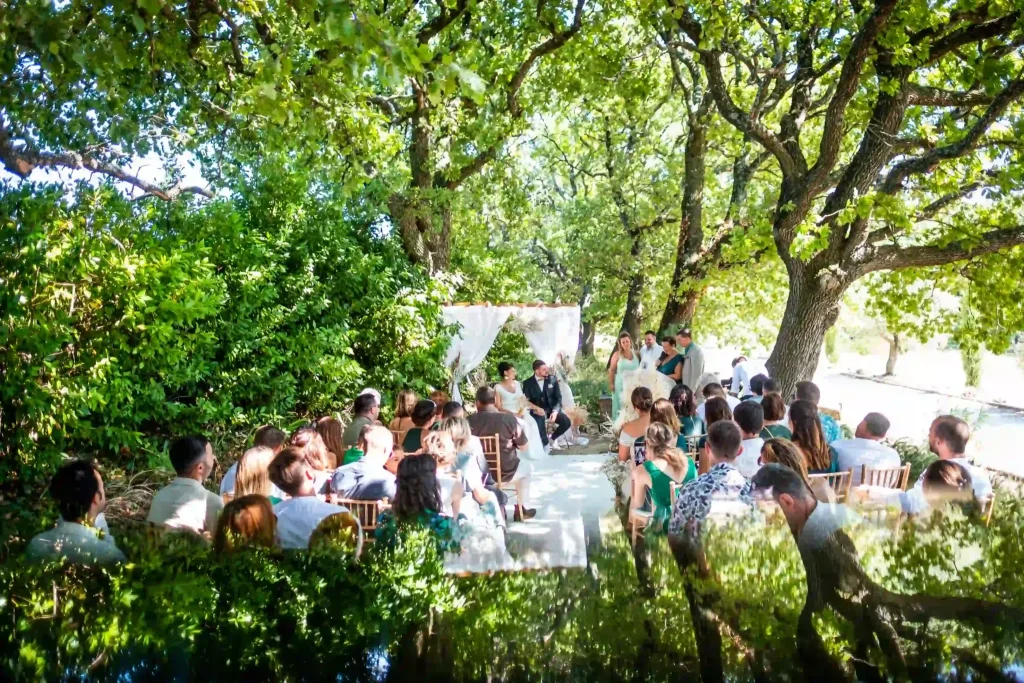 Invités réunis à l’ombre des grands arbres pour un mariage champêtre en Drôme provençale